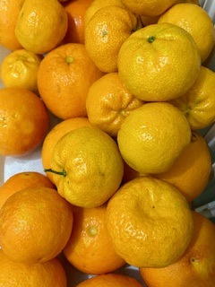 Ο εθελοντισμός, πολύτιμος χυμός ζωής