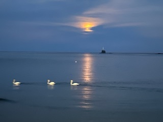 Για το καλό του τόπου