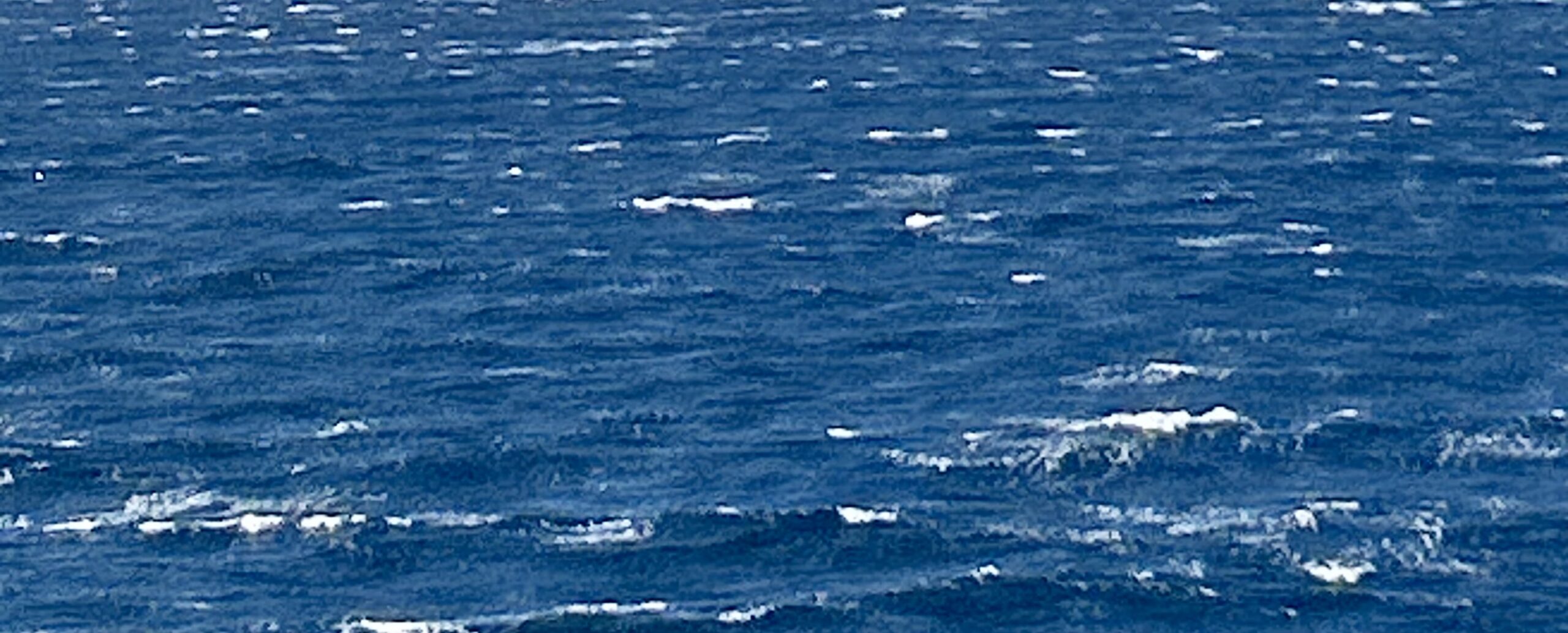 Αλήθεια, αξιοπρέπεια, ανθρωπιά, αξιοσύνη, αλληλεγγύη, ανιδιοτέλεια, αυθεντικότητα, απλότητα, αρετή, αυτογνωσία, αυτοσυγκράτηση, αγάπη