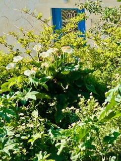 Η άνοιξη της αναγέννησης και της ελπίδας