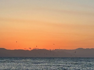 Η πολύπλευρη δυναμική της εξωστρέφειας